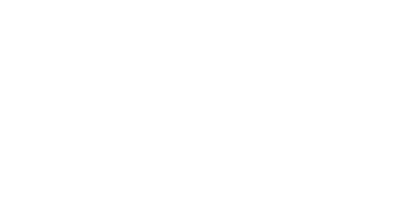 Stocky logo